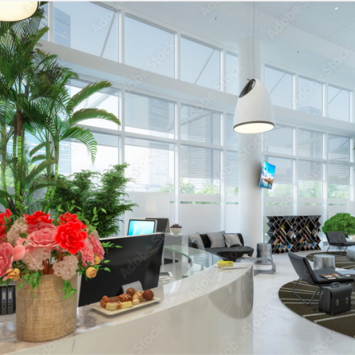 Bildschirmfoto 2022-05-01 um 19.46.56